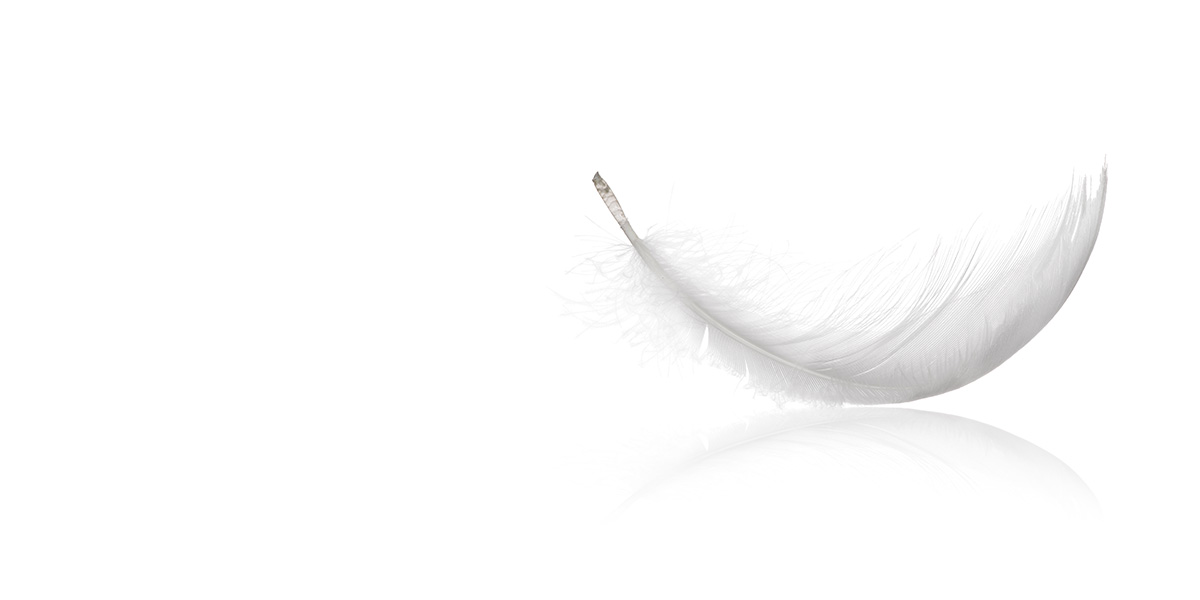 Woolworths Clean Feather Clean-feather-woolworths-redesign-rebrand