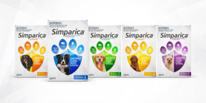 Simparica-range-design-packaging-boxer-and-co