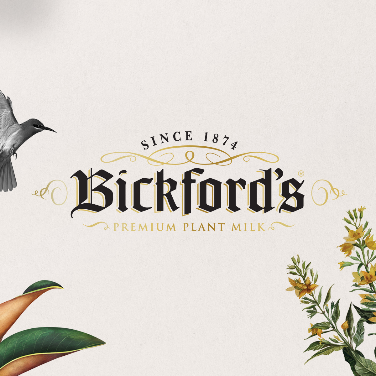 boxe-and-co-plant-milk-packaging-design-almond-bird