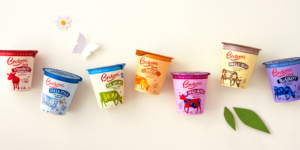 yoghurt-redesign-cow-agency-illustration-paper