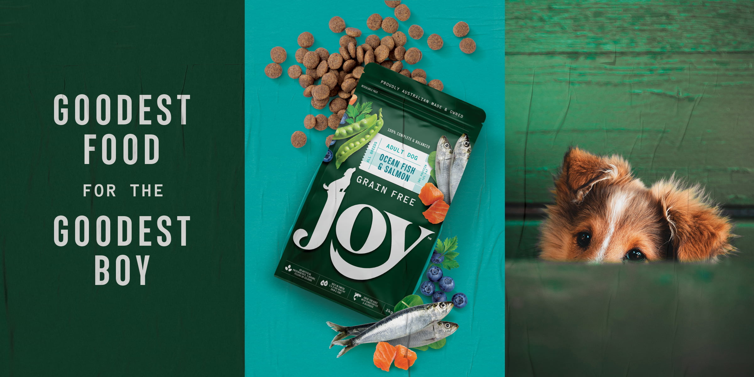 ocean-fish-and-salmon-dog-food-premium-package-redesign-brand-creative-green-luxury-real-ingredients-doggy-puppy