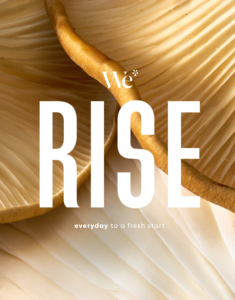 We-rise-mushroom-yum-delicious-power-food-natural-cereal-package-designing-boxer-and-co-marrickville-studio