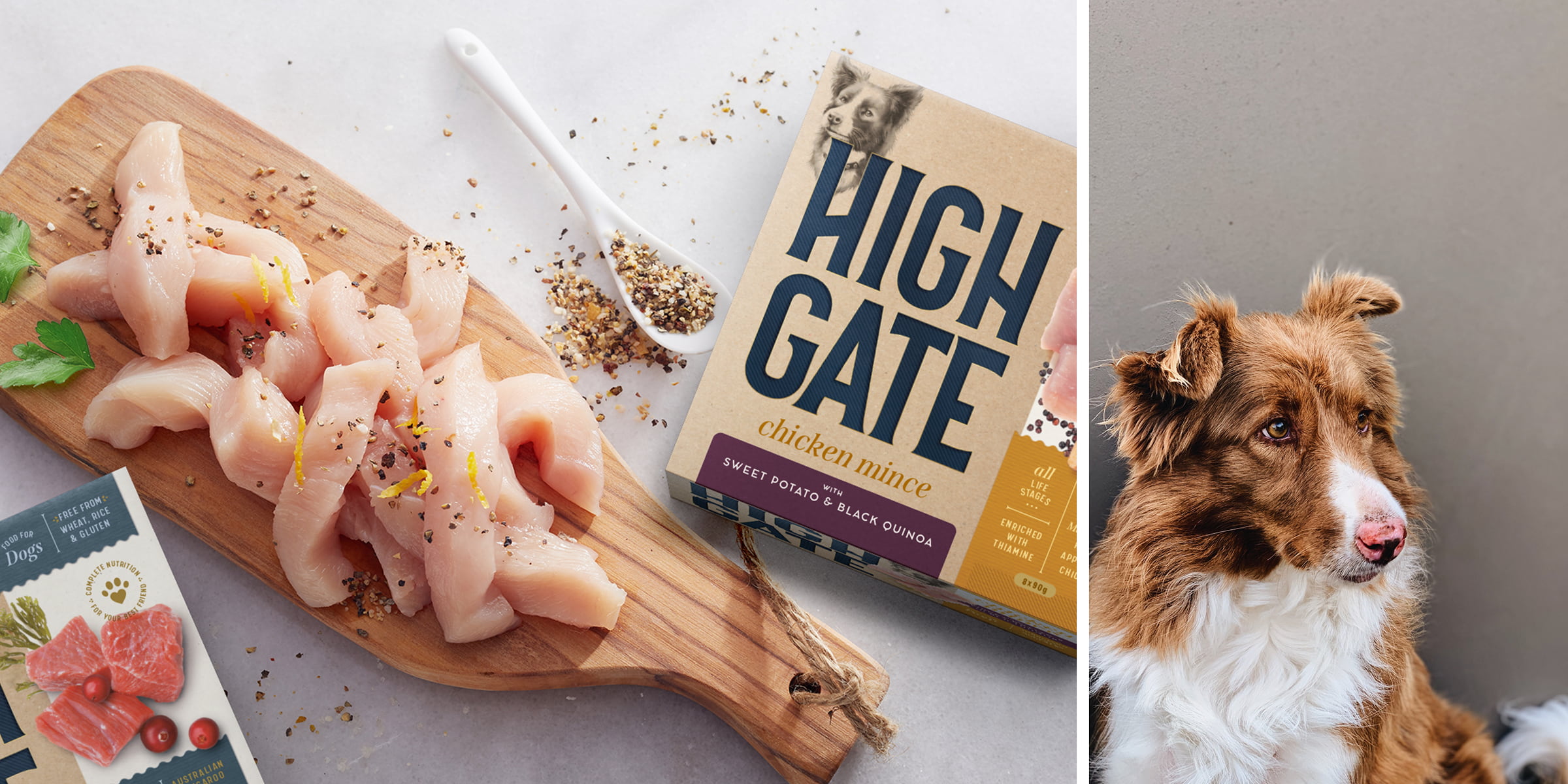 brand-design-packaging-gourmet-pet-food-butcher-dog-photography-identity-boxer-and-co