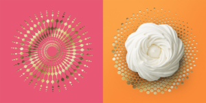 branding-fireworks-packaging-design-desserts-colours